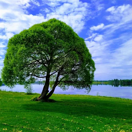 Kuortane Kuharanta *