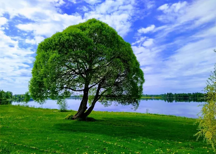 Kuortane Kuharanta *